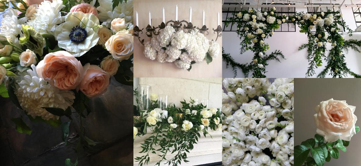 Botany Floral Studio 6473416646 Toronto Florist Flower Delivery